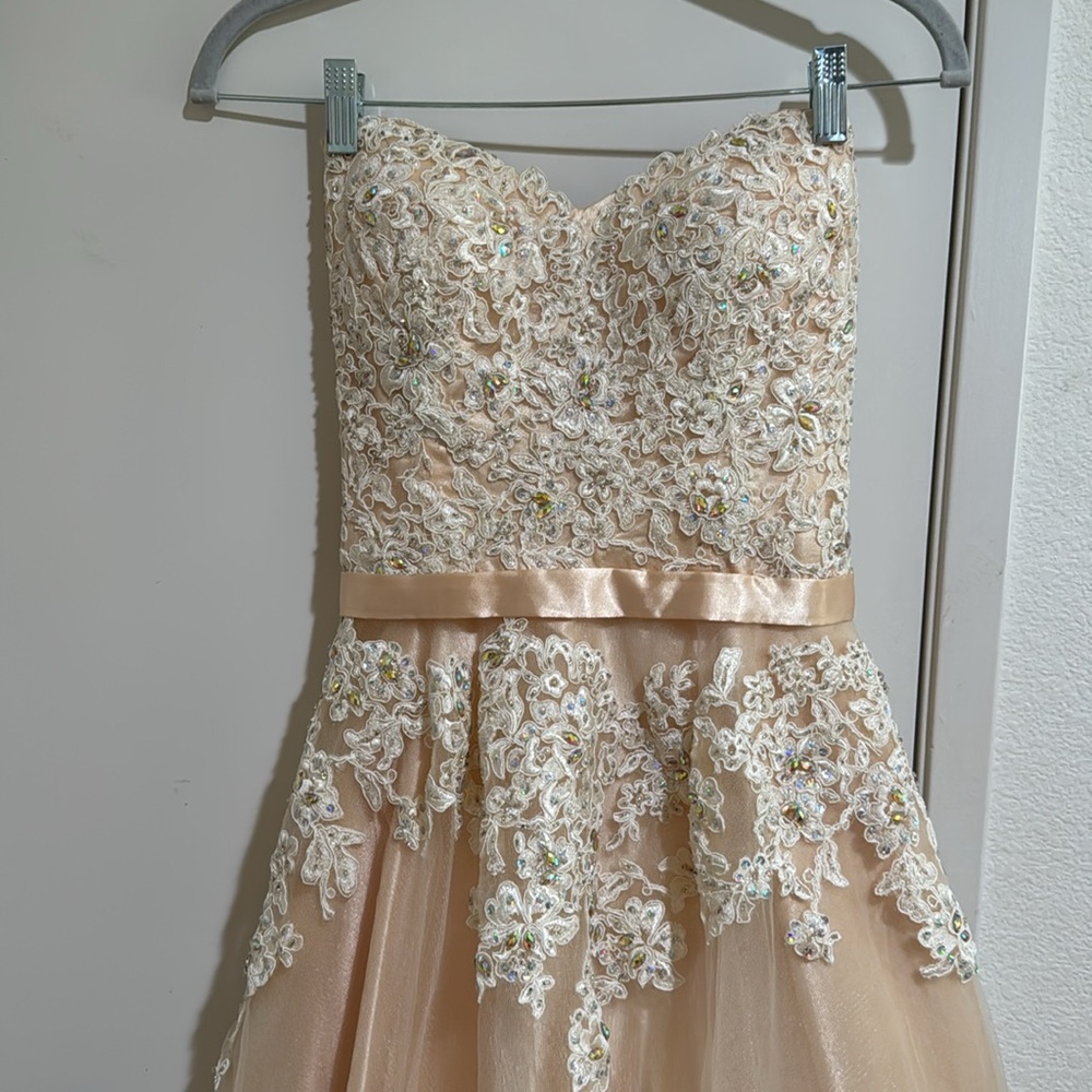 ANNY LEE Elegant Champagne Gown Strapless